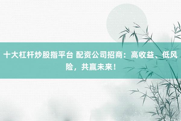 十大杠杆炒股指平台 配资公司招商：高收益、低风险，共赢未来！