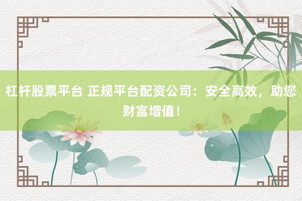 杠杆股票平台 正规平台配资公司：安全高效，助您财富增值！