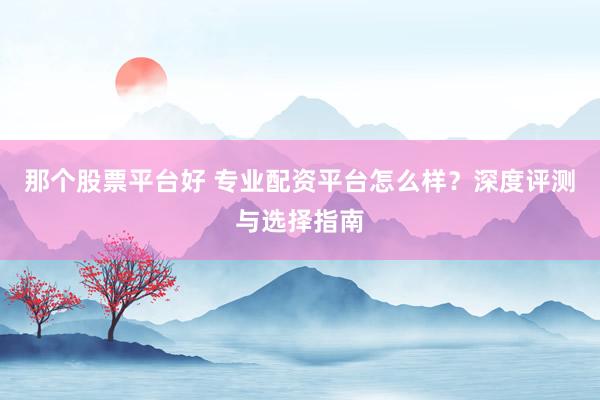 那个股票平台好 专业配资平台怎么样？深度评测与选择指南