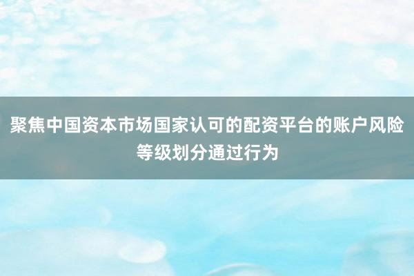 聚焦中国资本市场国家认可的配资平台的账户风险等级划分通过行为
