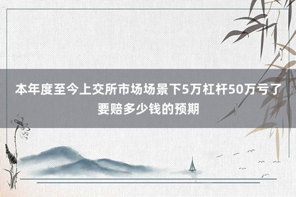 本年度至今上交所市场场景下5万杠杆50万亏了要赔多少钱的预期