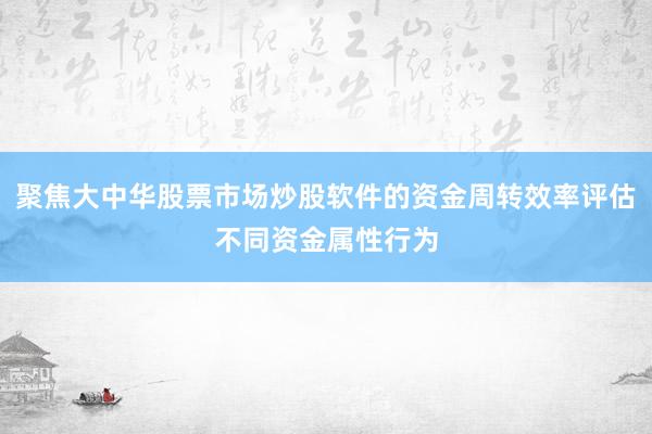 聚焦大中华股票市场炒股软件的资金周转效率评估不同资金属性行为