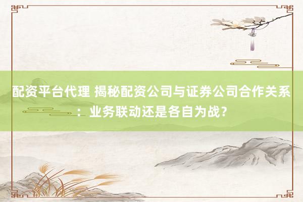 配资平台代理 揭秘配资公司与证券公司合作关系：业务联动还是各自为战？