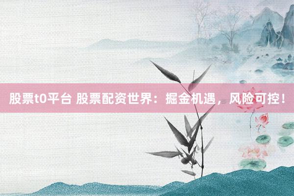 股票t0平台 股票配资世界：掘金机遇，风险可控！